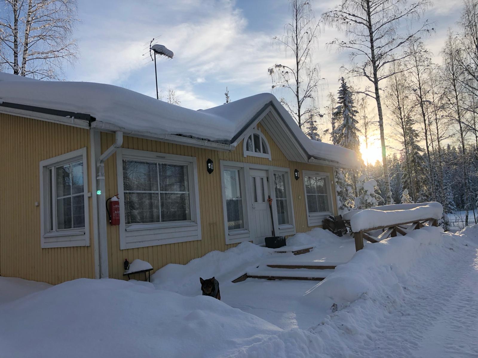 Taukotupa – Bild 2